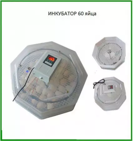 11. Снимка на Автоматични инкубатори за птичи яйца Dulong