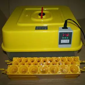 2. Снимка на Автоматичен инкубатор за птичи яйца Dulong