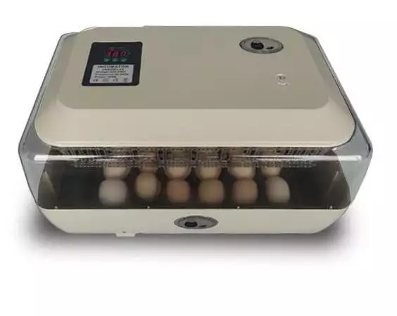Автоматичен инкубатор за птичи яйца Dulong