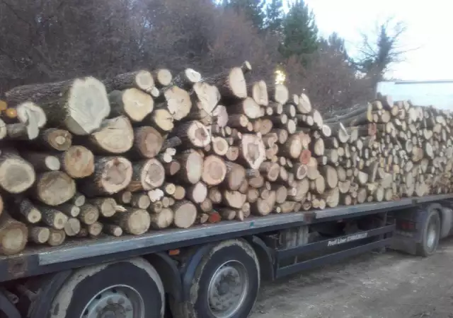 2. Снимка на Kупувам дървa за огрев и трупи от райна на Бургас