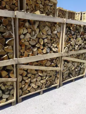 дърва на едро и износ