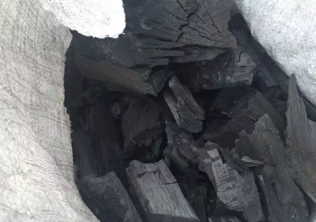 1. Снимка на Дървени въглища