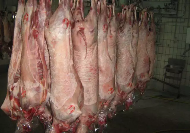 3. Снимка на Продавам агнета живи и трупно месо