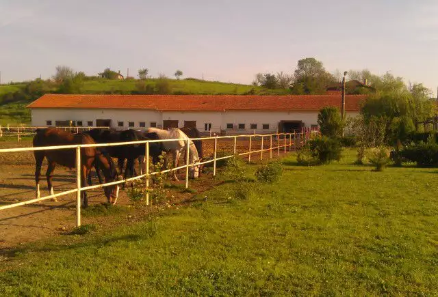 1. Снимка на Продава животновъдна ферма УПИ 33600м2