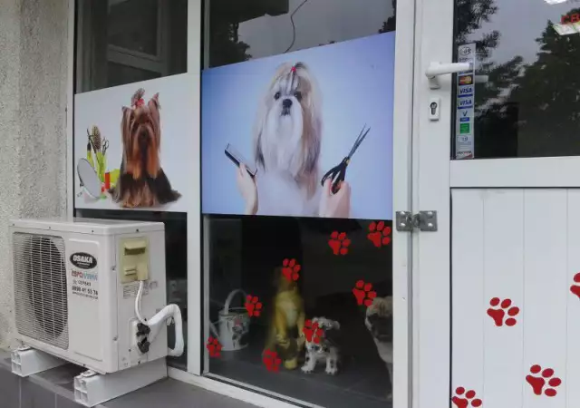 Подстригване на кучета фризьорски салон за домашни любимци