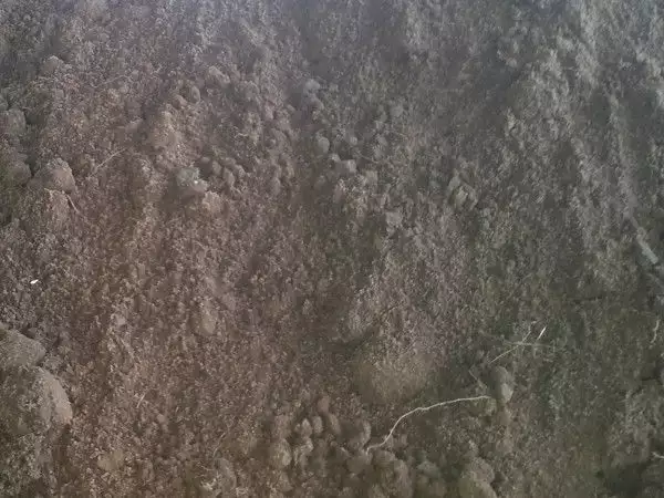 2. Снимка на хумусна почва