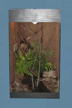 5. Снимка на Продавам скат Potamotrygon reticulatus