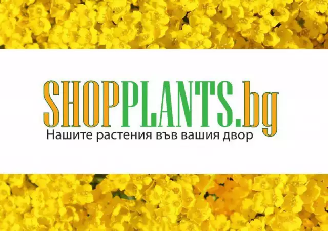 Шоп Плантс - разнообразие от красиви растения