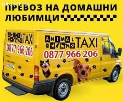 1. Снимка на Animal taxi