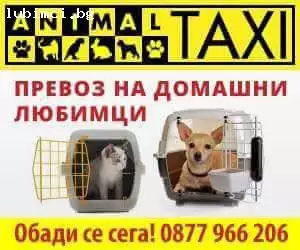 2. Снимка на Animal taxi