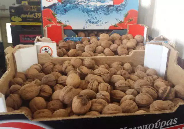 Продавам орехи черупка реколта 2016г