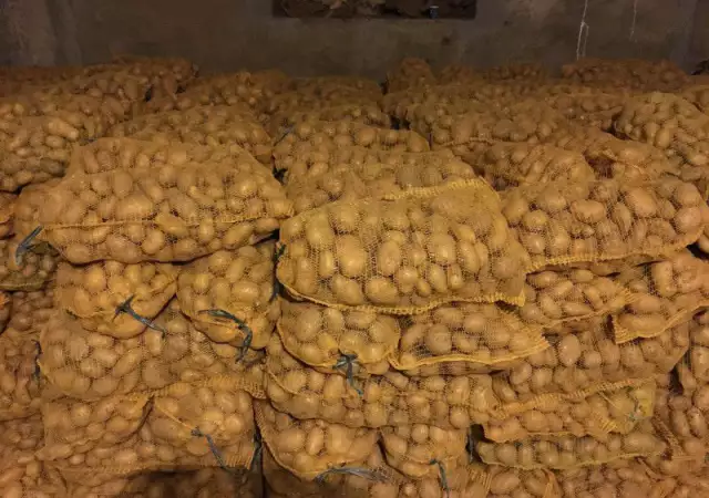 1. Снимка на Балкански картофи