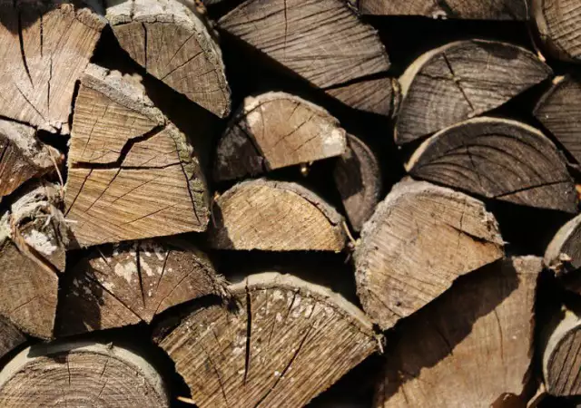 1. Снимка на дърва за огрев и въглища изгодно