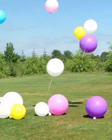 6. Снимка на Големи балони