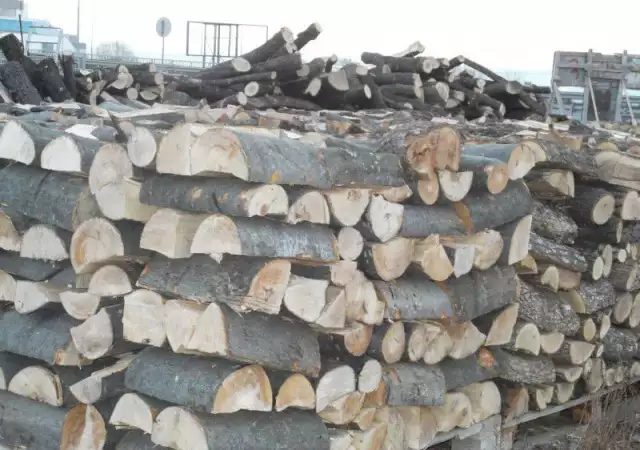 3. Снимка на продавам дърва за огрев , нарязани и метри