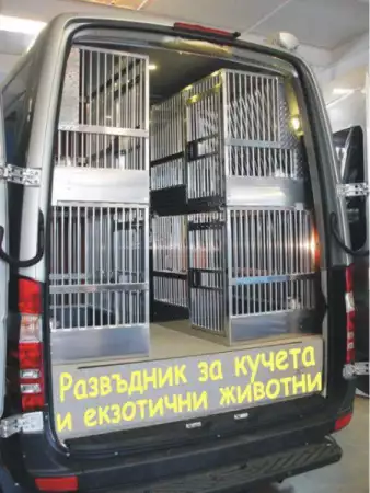 7. Снимка на Сръбско трицветно ГОНЧЕ - развъдник продава кученца ВНОС