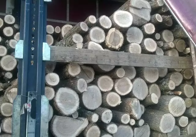 7. Снимка на дърва на едро и износ