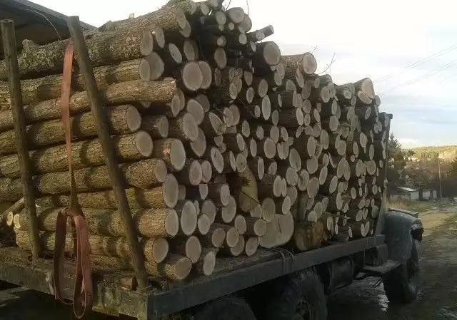 9. Снимка на дърва на едро и износ