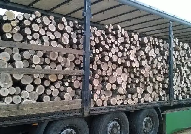 11. Снимка на дърва на едро и износ