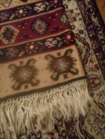 2. Снимка на Чипровски килим