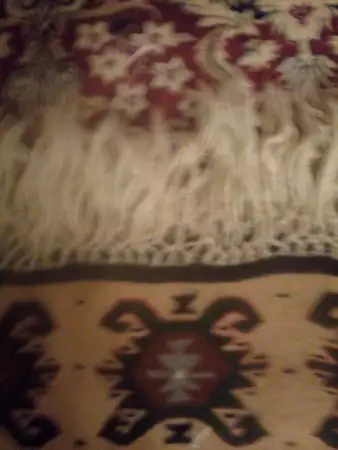 7. Снимка на Чипровски килим