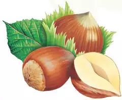 2. Снимка на Вносител на орехи, лешници, бадеми, стафиди и др.