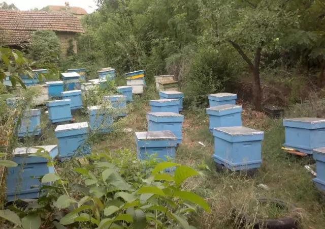 1. Снимка на Продавам екологично чист билков пчелен мед
