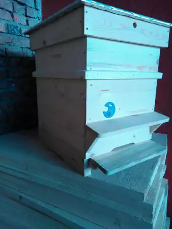 5. Снимка на Производство на пчелни Кошери