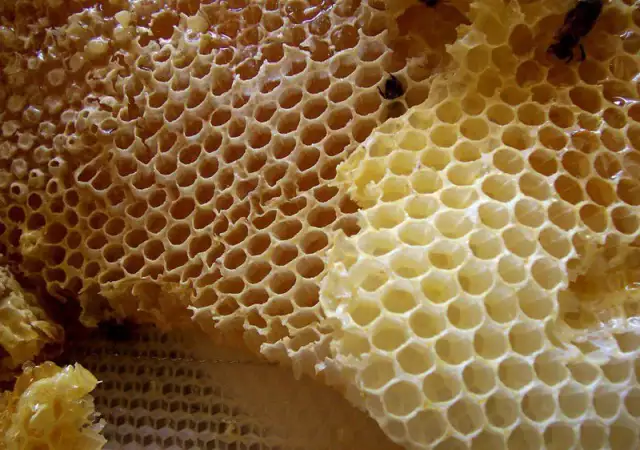 5. Снимка на Продавам кошери с пчели, пчелен мед и восък