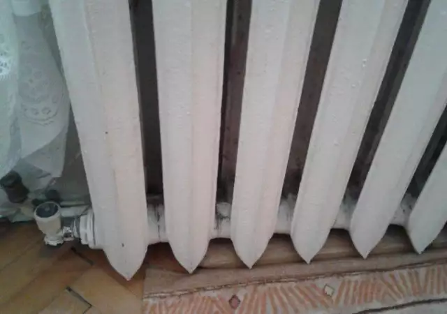 3. Снимка на Руски Чугунен радиатор за парно 15 ребра