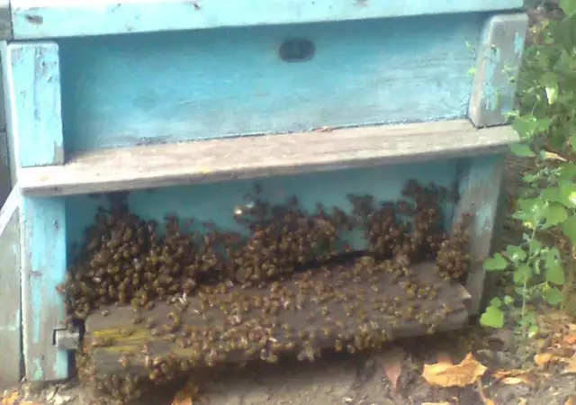 2. Снимка на Пчелни отводки