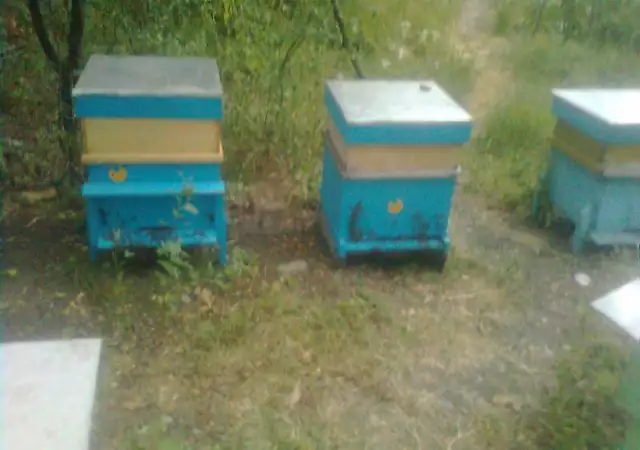 3. Снимка на Пчелни отводки