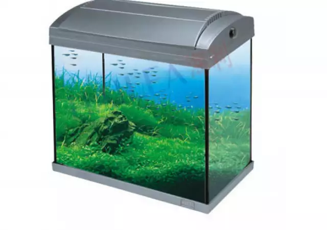 1. Снимка на Магазин за аквариуми - оборудвани, базови, морски, нано - 