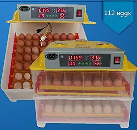 Автоматични Дигитални инкубатори за Птичи яйца