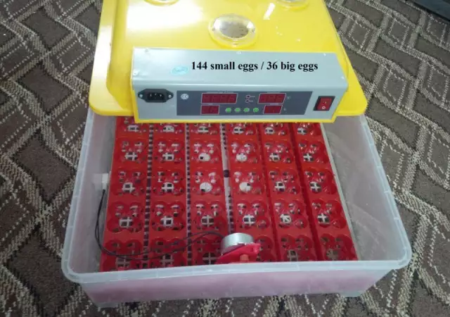 2. Снимка на Автоматични Дигитални инкубатори за Птичи яйца