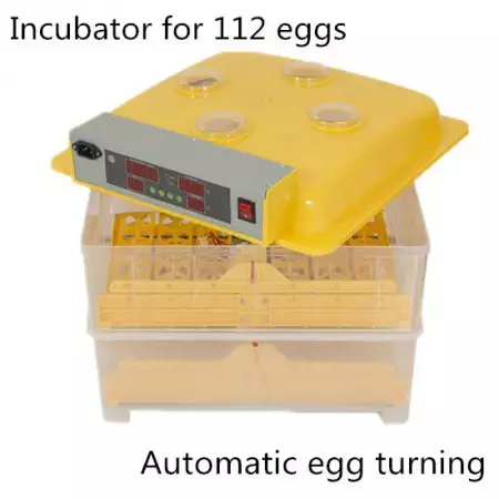Автоматични Дигитални инкубатори за Птичи яйца