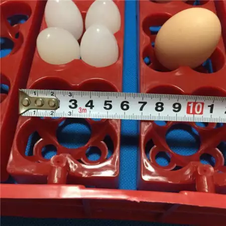 8. Снимка на Автоматични Дигитални инкубатори за Птичи яйца