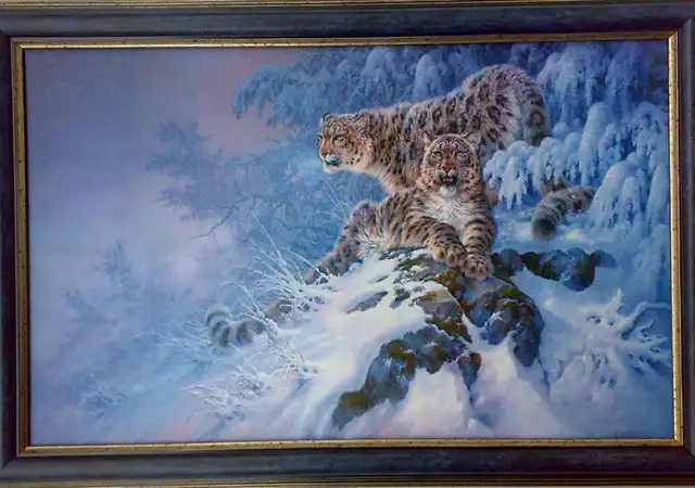 Барс, снежен леопард, картина