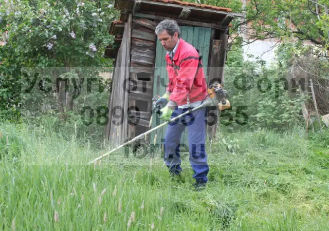 1. Снимка на Почистване на дворове в София и всички разновидности.