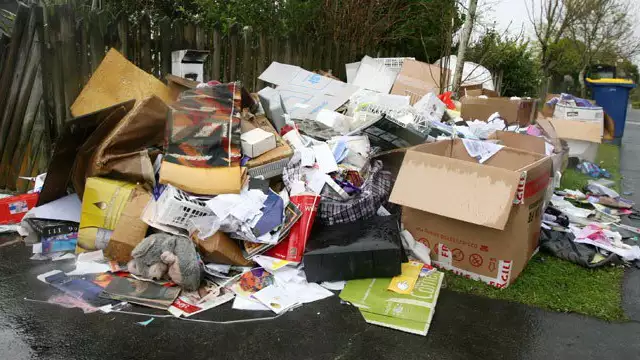 2. Снимка на РАЗЧИСТВАНЕ на вашият Дом и Градина. ИЗВОЗВАНЕ на отпадъка.
