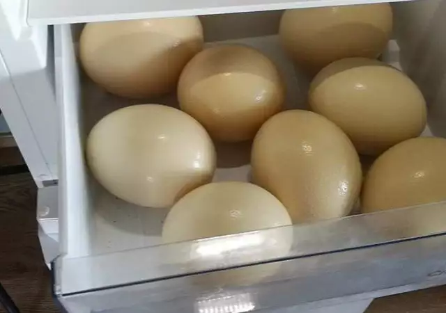 2. Снимка на щраусови яйца