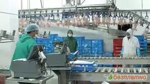 1. Снимка на Германия - Мъже и Жени Фабрика за Пилешко Месо