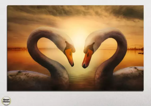 1. Снимка на Картина пано за стена от 1 част - Сърце от лебеди - HD - 725 - 1