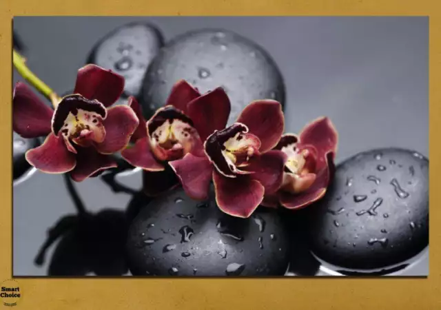 1. Снимка на Картина пано за стена от 1 част с лилава орхидея и Дзен камъ