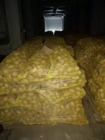 Картофи на едро - реколта 2017.