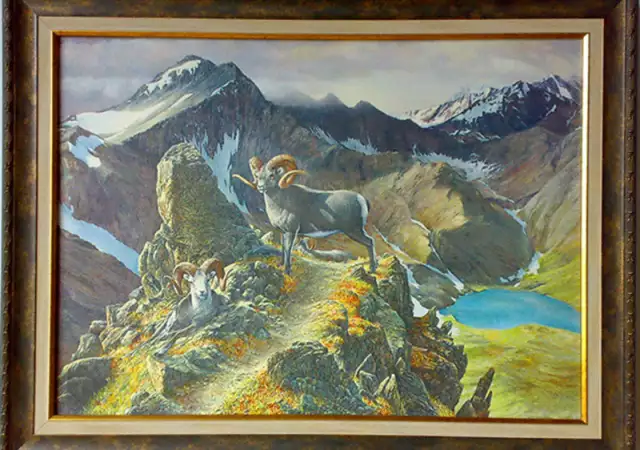 Муфлони - картина за ловци