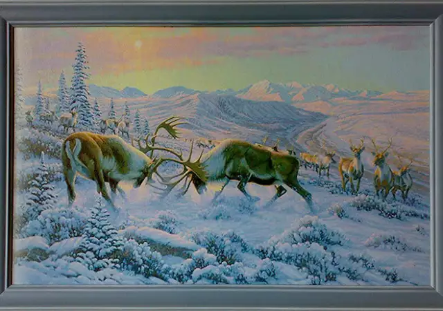 1. Снимка на Северни елени, картина за ловци