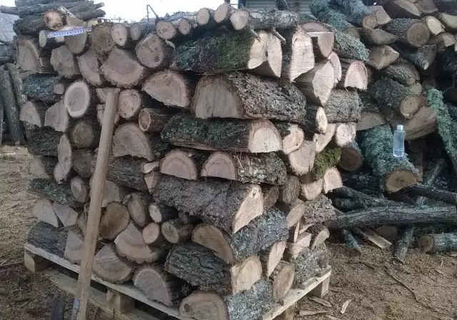 Дърва за огрев