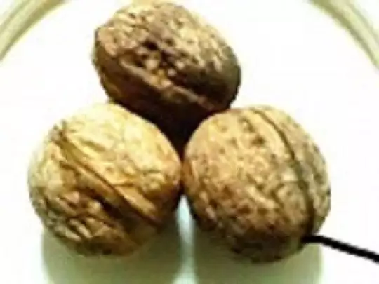 Продавам на дребно еко градински орехи с черупка 3 - 4 - 5см.