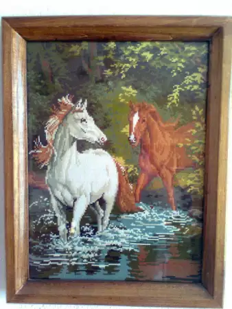 1. Снимка на Коне в реката